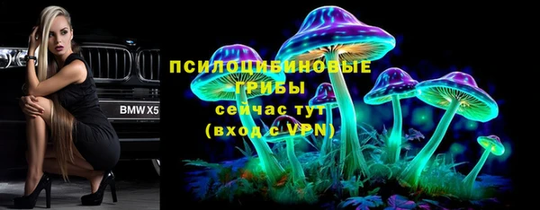 apvp Алзамай