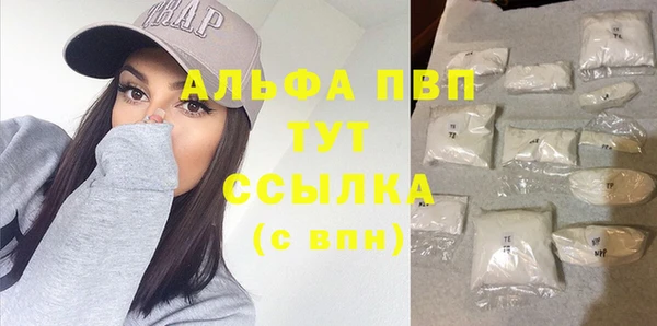 apvp Алзамай